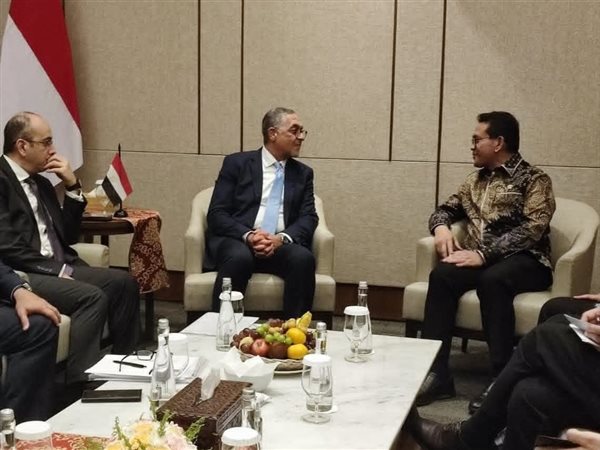 الاستثمار تنظم أول زيارة ترويجية إلى إندونيسيا لجذب استثمارات جديدة 
