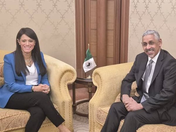 وزيرة التخطيط تبحث مع رئيس بنك التنمية الأفريقي تعزيز التعاون ودعم الإصلاحات الاقتصادية