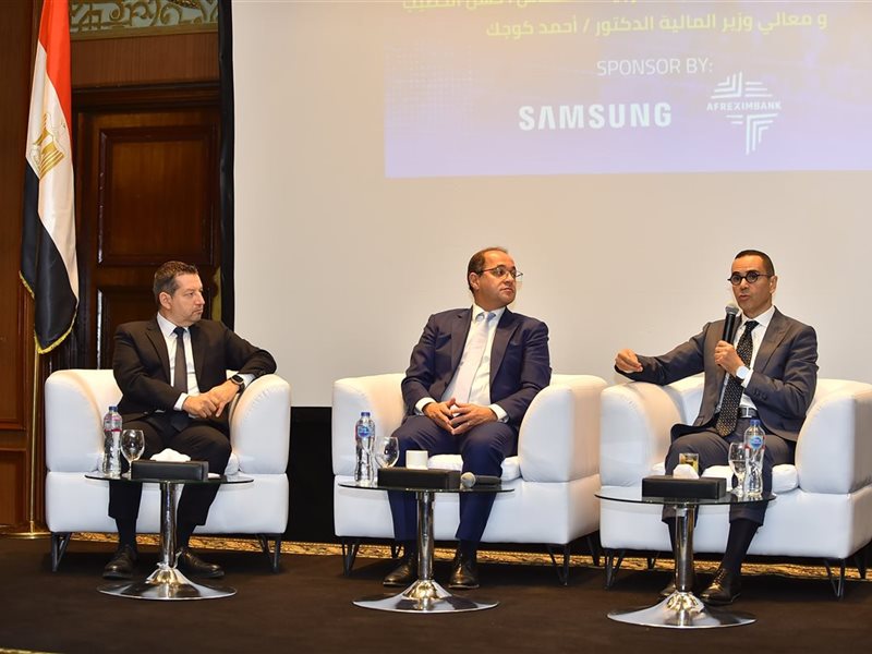 وزير الاستثمار والمالية