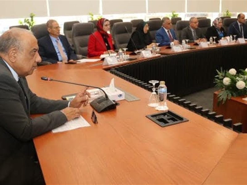 وزير الكهرباء