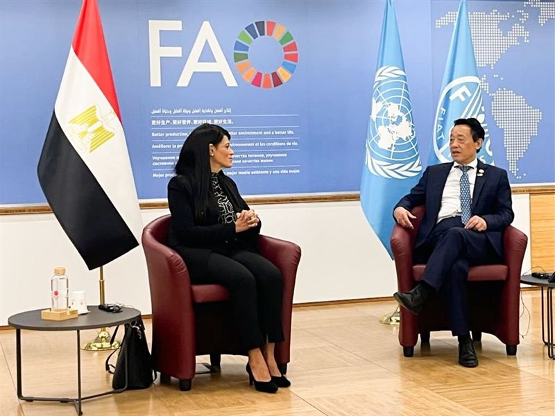 رانيا المشاط، وزيرة