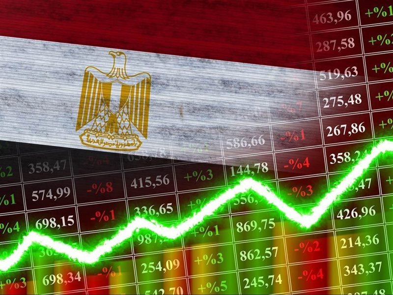 برنامج الطروحات الحكومية
