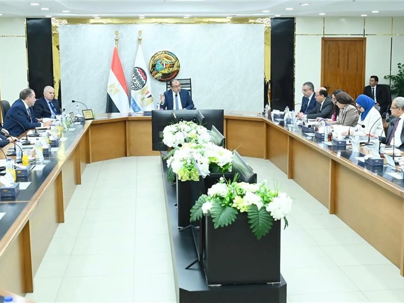 محمد الشيمي وزير