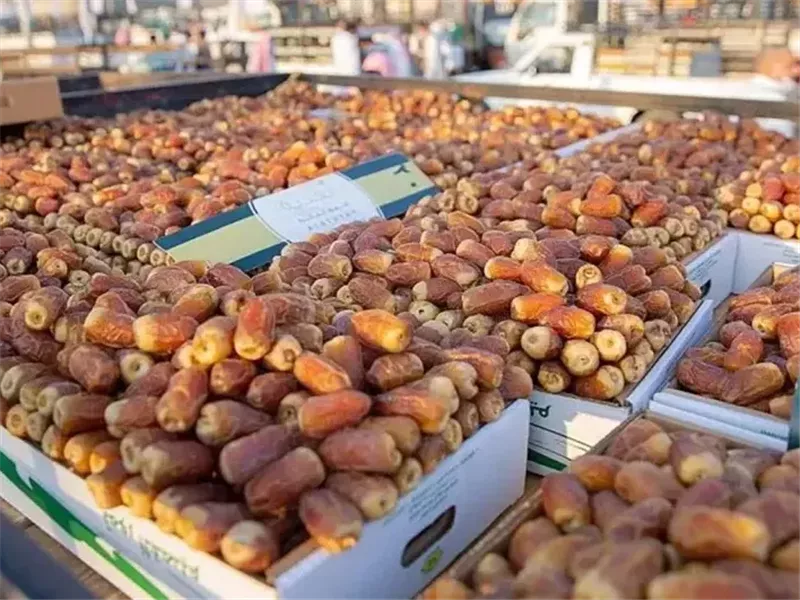 التمور المصرية