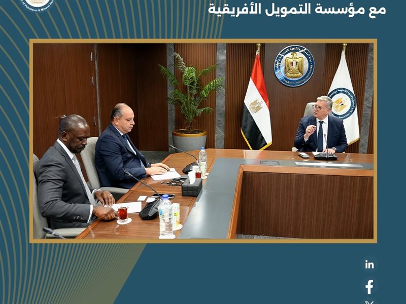 المهندس كريم بدوى