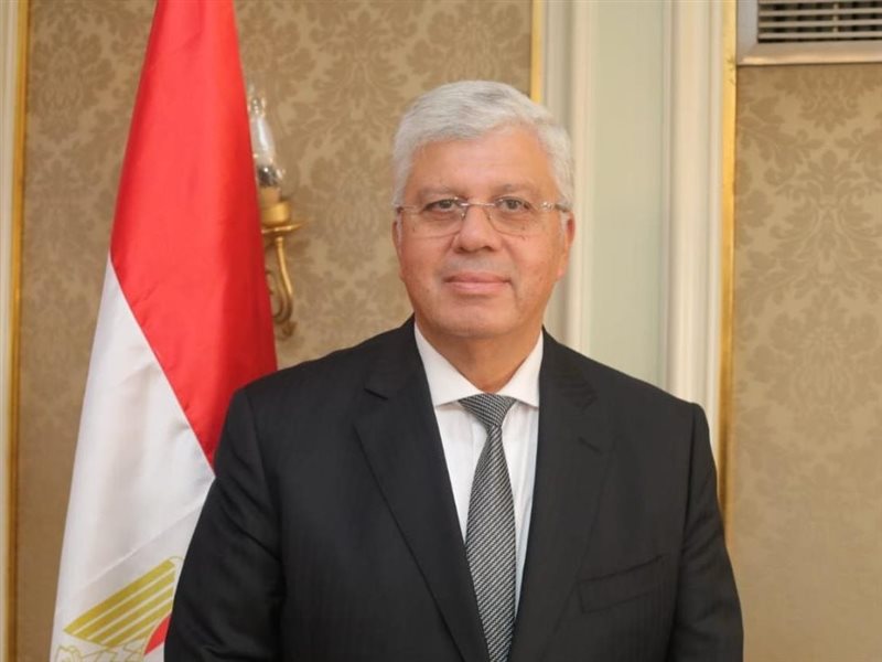 الدكتور أيمن عاشور،