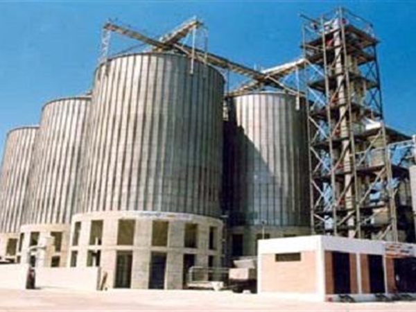 «العامة للصوامع» تعتمد توزيع أرباح نقدية بقيمة 74.4 مليون جنيه  