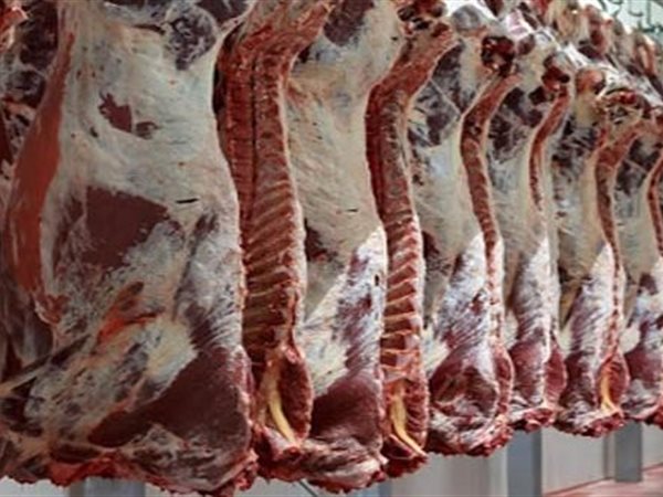 وزير الزراعة يؤكد أمان اللحوم وحماية الثروة الحيوانية من خلال التحصين