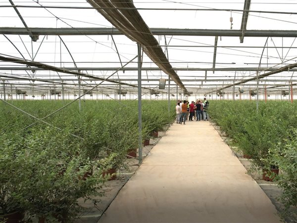 جهاز مستقبل مصر يتعاون مع شركة عالمية لتطوير الزراعة وزيادة الصادرات