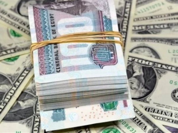 المتحدث الرسمي: وصول الاحتياطي النقدي إلى 50 ملياردولار يعكس نجاح الإصلاح الاقتصادي