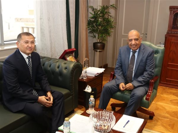 مصر وأوزبكستان تبحثان تعزيز التعاون والاستثمار في الطاقة المتجددة