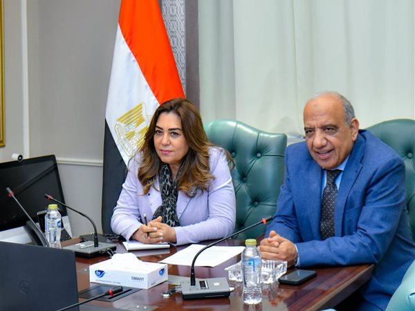 وزيرا الكهرباء والتنمية المحلية يبحثان توافق مشروعات الطاقة المتجددة مع معايير حماية التنوع البيولوجي