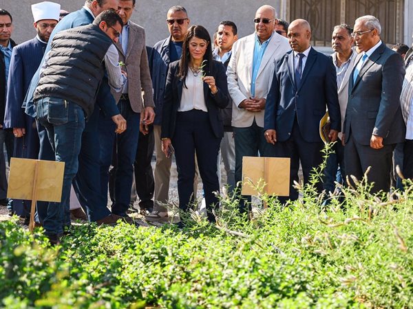 3.6 مليار جنيه استثمارات حكومية لتنمية جنوب سيناء ضمن خطة 2025/2026