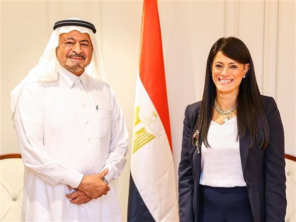 وزيرة التخطيط تبحث سبل التعاون مع رئيس مجموعة مستشفيات السعودي الألماني
