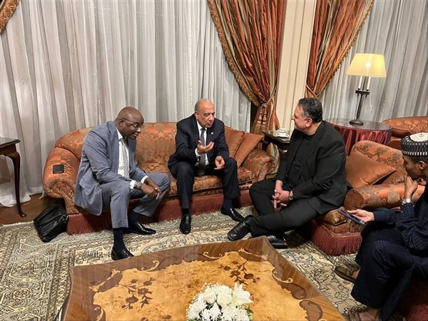 مصر وتشاد تبحثان تعزيز التعاون في الكهرباء.. و«عصمت»: شراكة تدعم التنمية