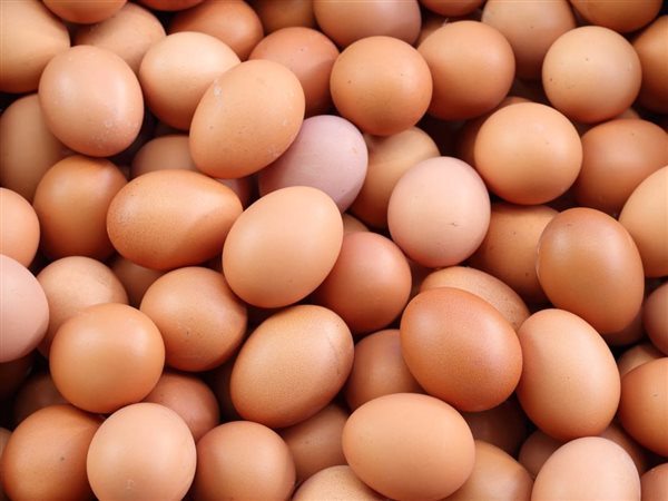 تراجع كبير في أسعار البيض بالأسواق