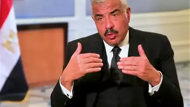 هشام طلعت مصطفى