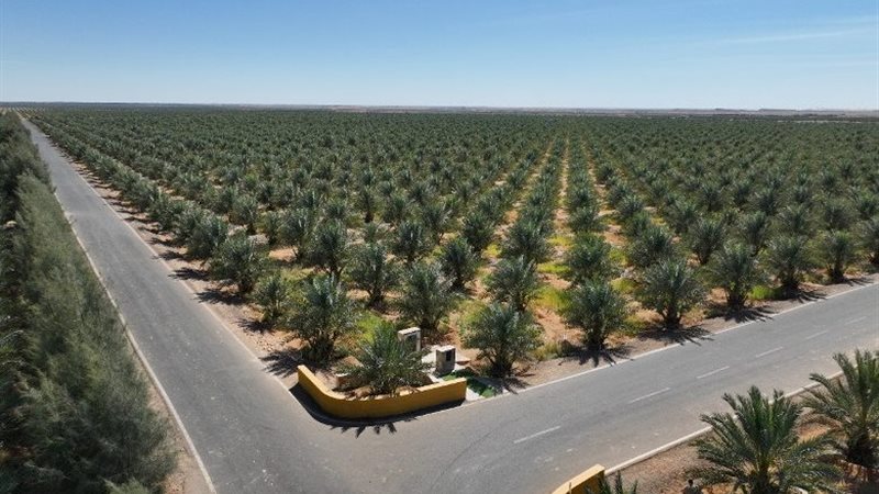 وادي كوم أمبو