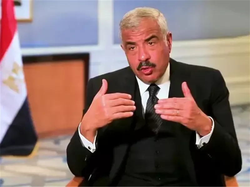 هشام طلعت مصطفى