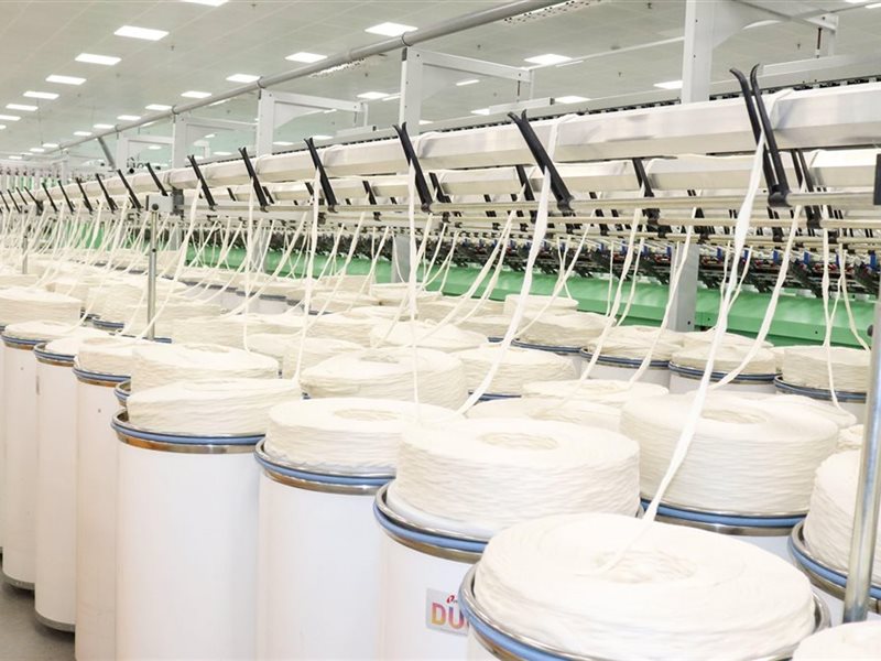 المشروع القومي لتطوير