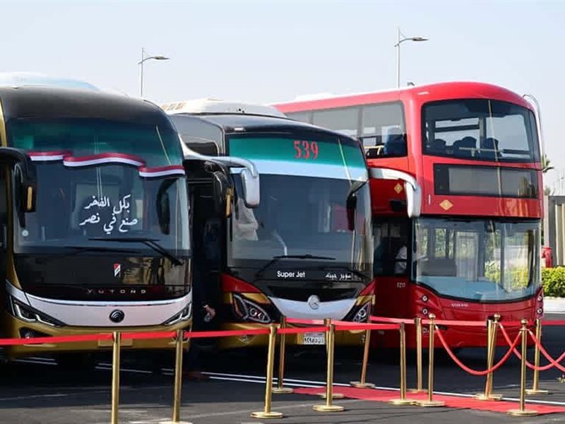 سيارات وأتوبيسات