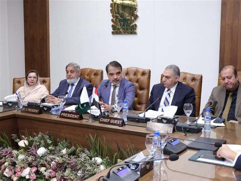 السفير المصري في