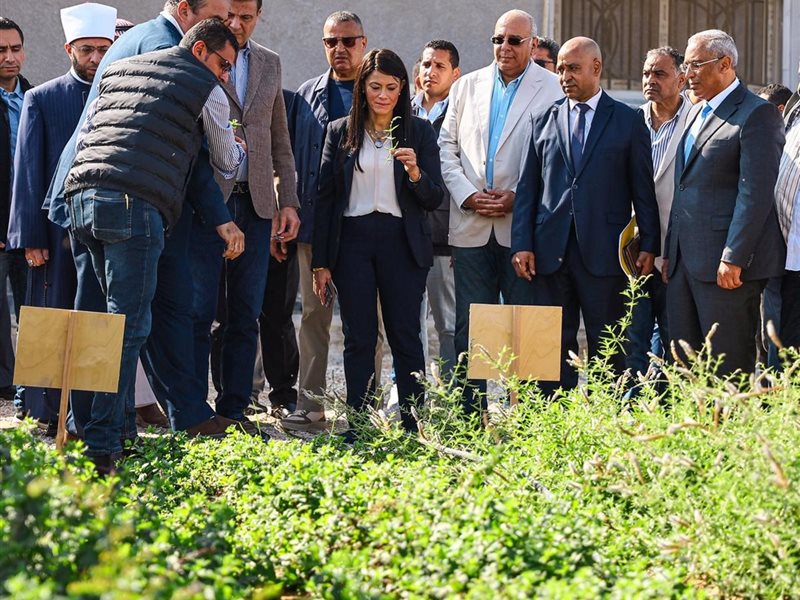 جانب من الفعاليات