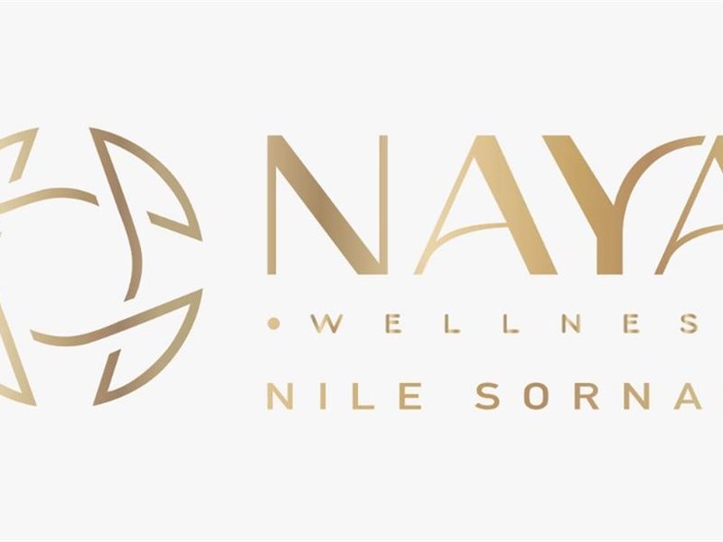 مجموعة مكسيم للاستثمار