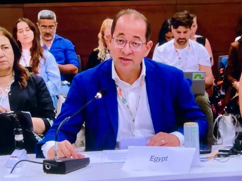 أحمد كجوك وزير المالية