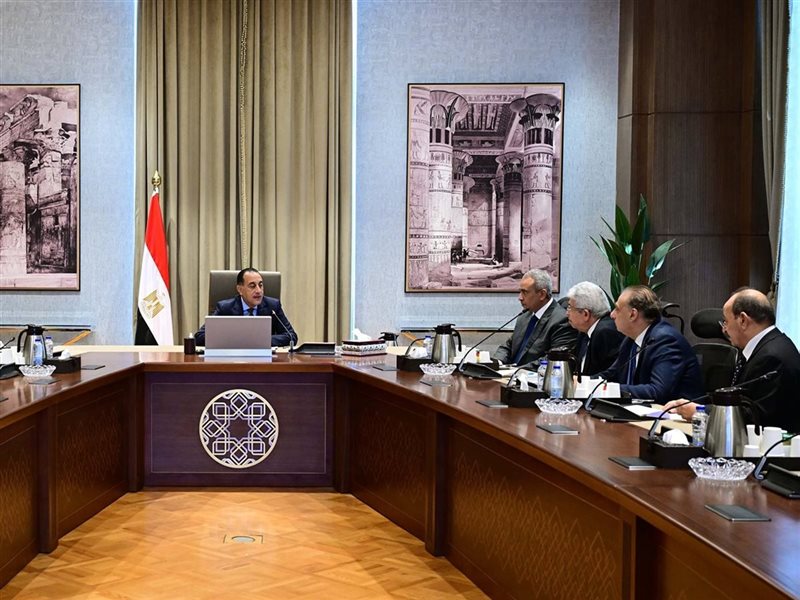 مدبولي يناقش مع اللجنة