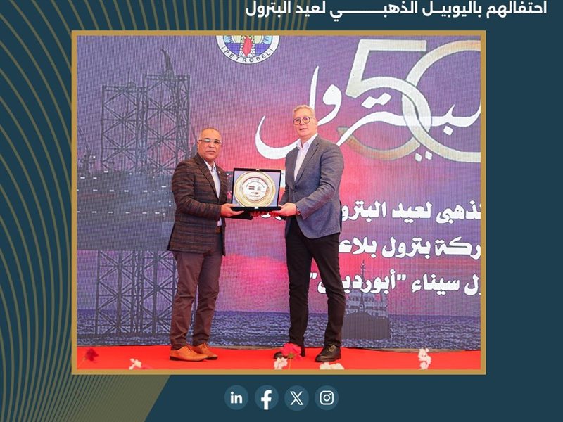 المهندس كريم بدوي