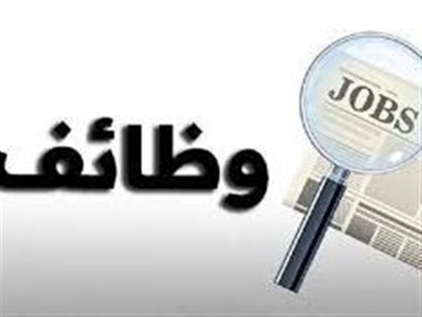 185 وظيفة جديدة برواتب مغرية في السويس..ووزارة العمل تفتح باب التقديم إلكترونيًا