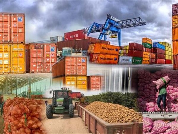 4655 رسالة غذائية مصرية تغزو العالم والأسواق الخليجية على خط المواجهة