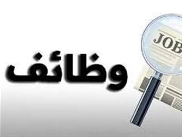 العمل تعلن تقدم 7000 شاب للتدريب المجاني وتوفير 75000 فرصة عمل جديدة