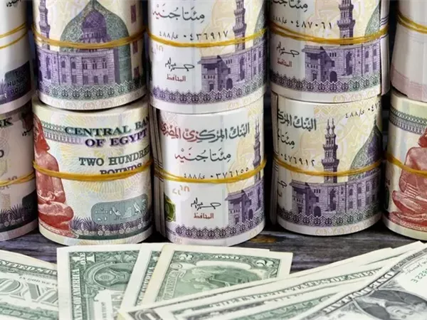 بعد ليلة الارتفاع.. الدولار الأمريكي يستيقظ ثابتًا أمام الجنيه المصري