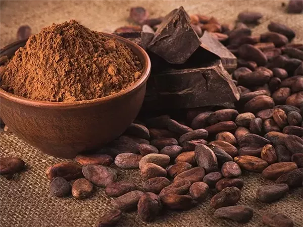 «الكاكاو» في المقدمة.. صادرات مصر الغذائية للإمارات تقترب من 170 مليون دولار 