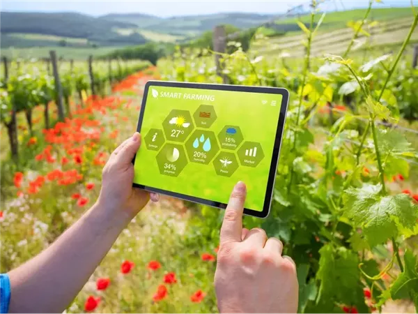 الزراعة تطلق مكتبة ذكية وتدشن بوت تليجرام لدعم مزارعي سيناء طوال اليوم 