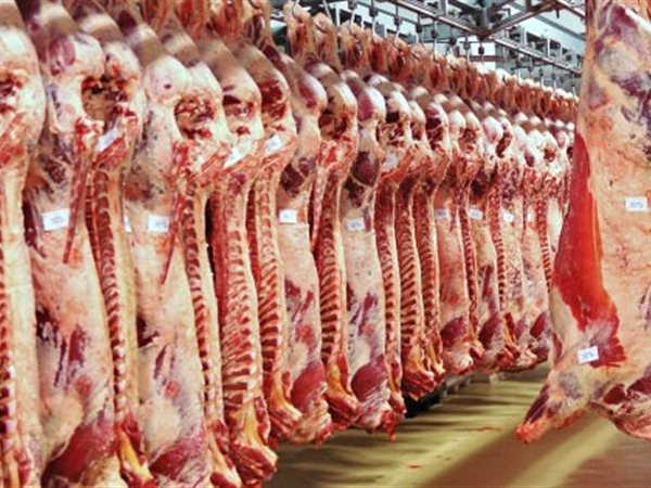 هيثم عبد الباسط: مصر غير منتجة بالكامل للحوم وتعتمد على الاستيراد لتغطية الاستهلاك