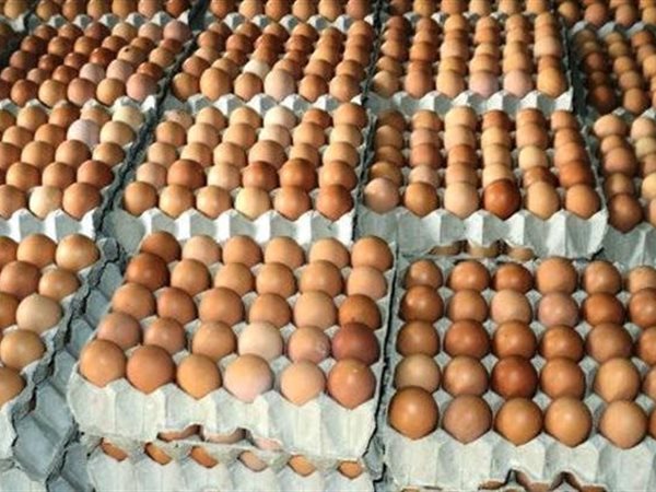 استقرار أسعار البيض في الأسواق بين 125 و140 جنيهًا