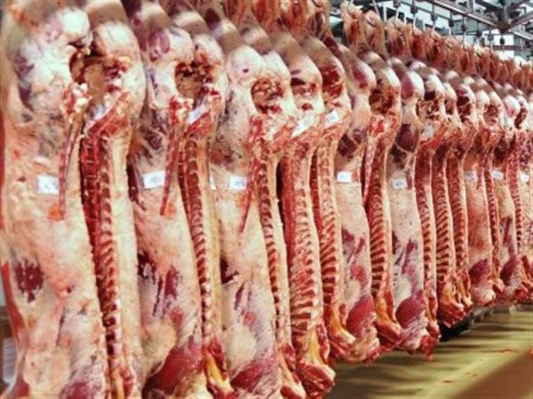 شعبة القصابين تكشف: انخفاض فاتورة استيراد اللحوم يريح السوق والمواطنين