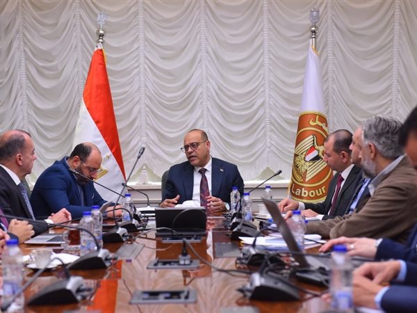 وزير العمل يبحث مع وفد 