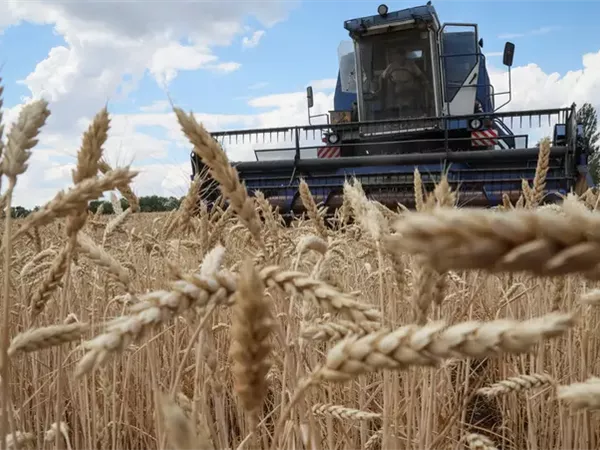 «بفعل الحرب».. صادرات الحبوب الأوكرانية تتراجع 16.7% في نوفمبر 