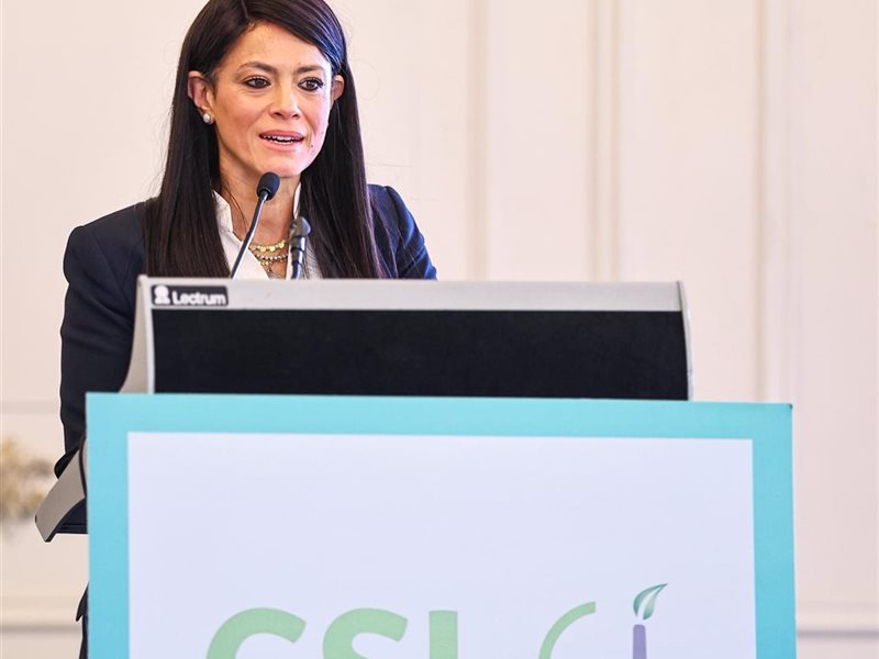 وزيرة التخطيط 