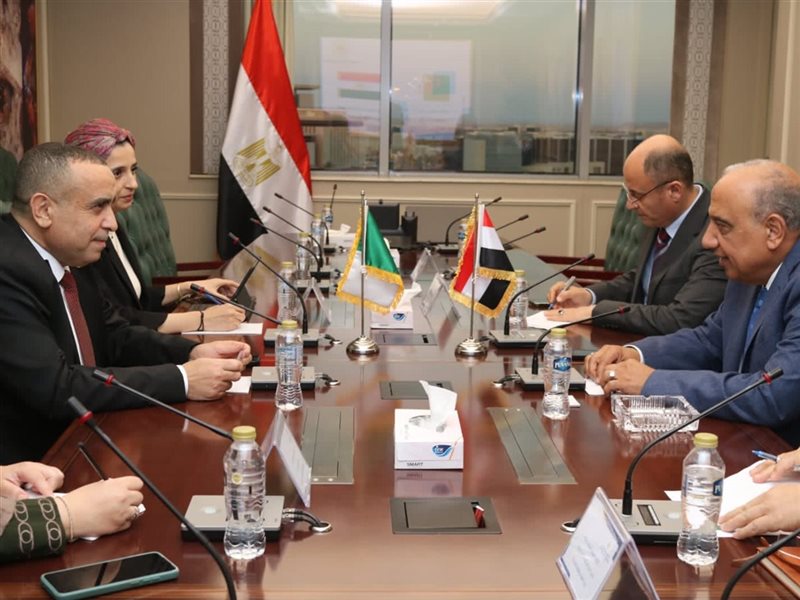 وزيرالكهرباء يبحث