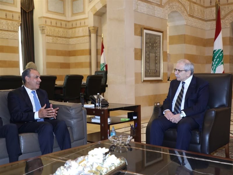 وزير الخارجية المصري