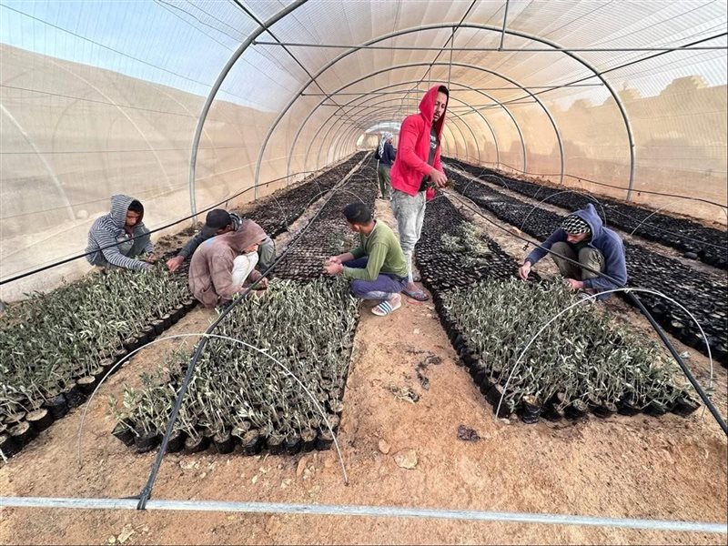 اليوم العالمي لشجرة