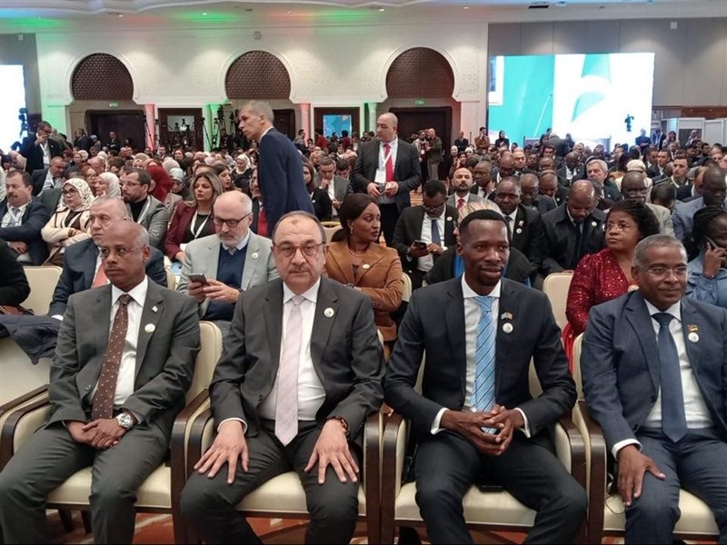 المهندس محمد شيمي،