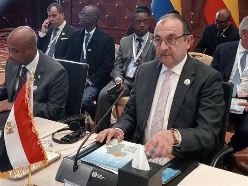  المهندس محمد شيمي،