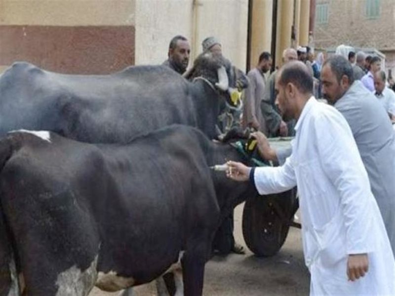  فرق التحصين الميدانية بجميع المحافظات