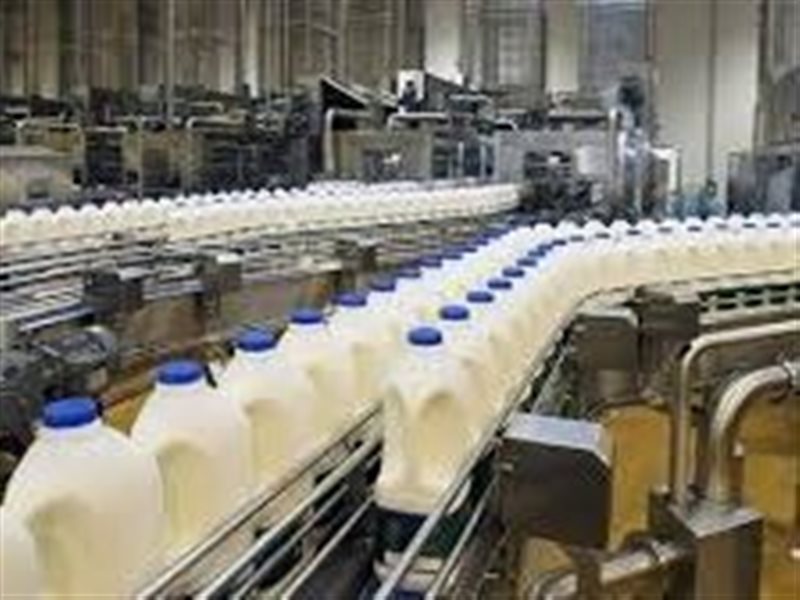  إنشاء منصة لتداول الألبان